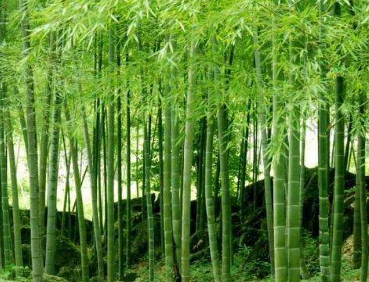 1645103790974921.jpg 2.jpg