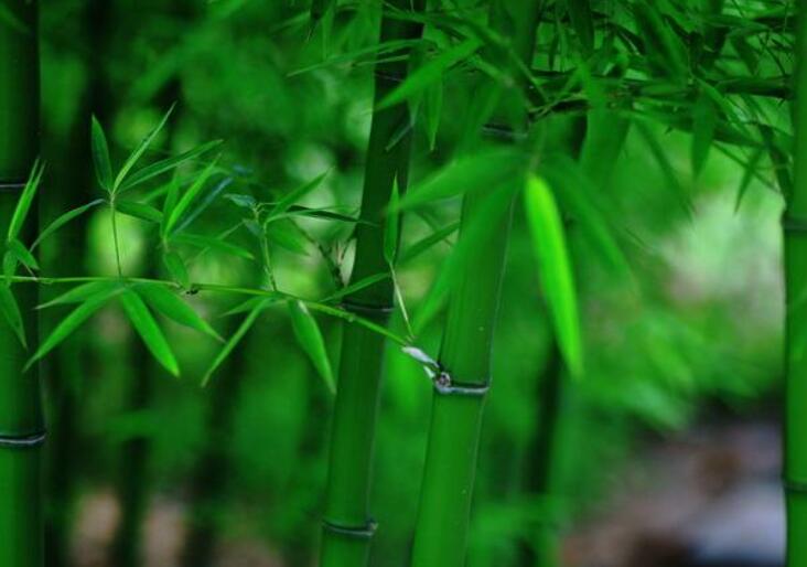 1645105808270943.jpg 1.jpg