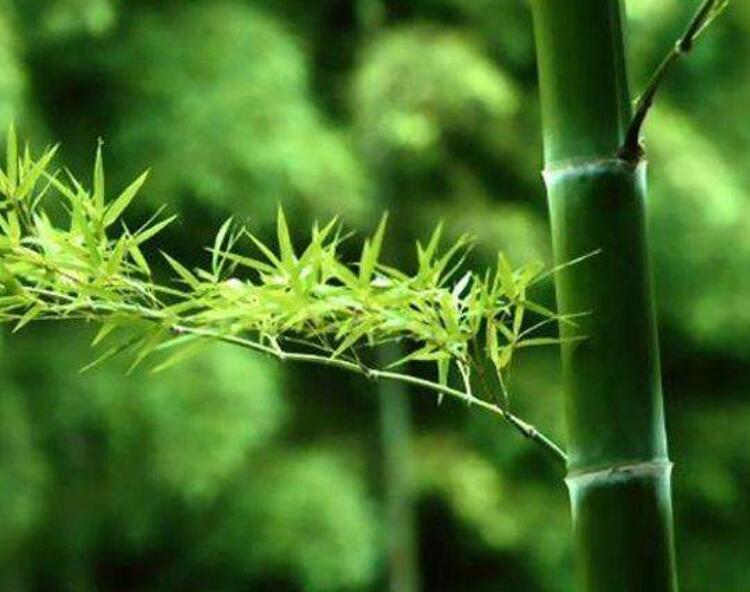 1645105818285065.jpg 2.jpg