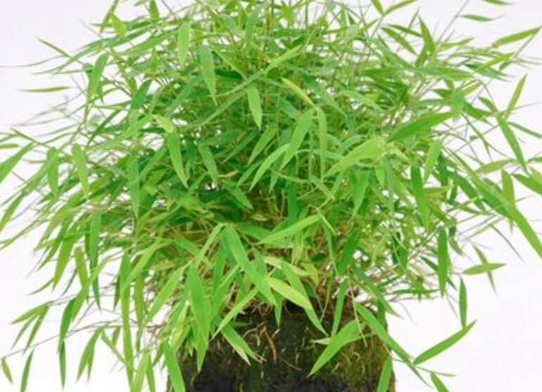 1645105826639391.jpg 3.jpg