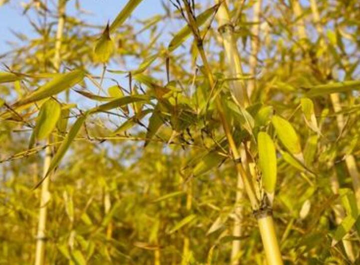 1645106135332636.jpg 1.jpg