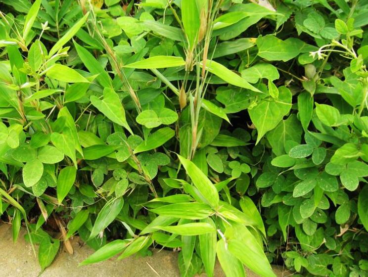 1645169339671841.jpg 2.jpg