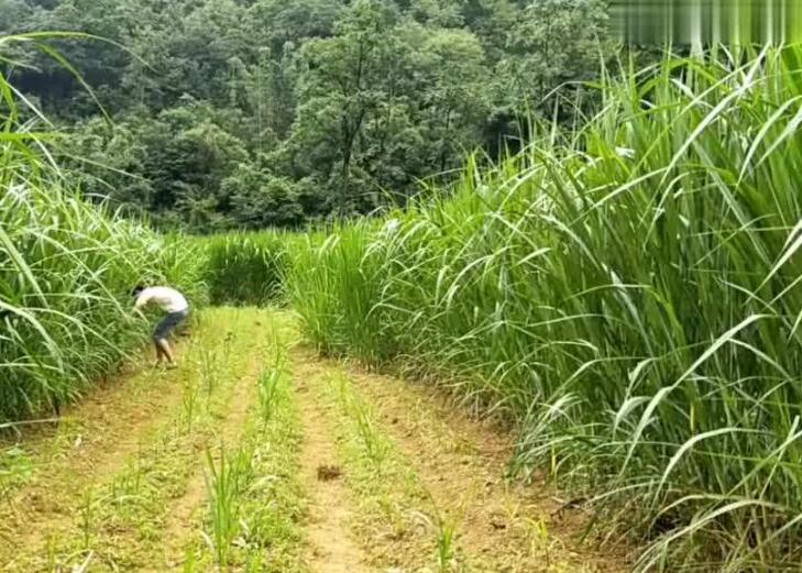 1645275048803474.jpg 1.jpg