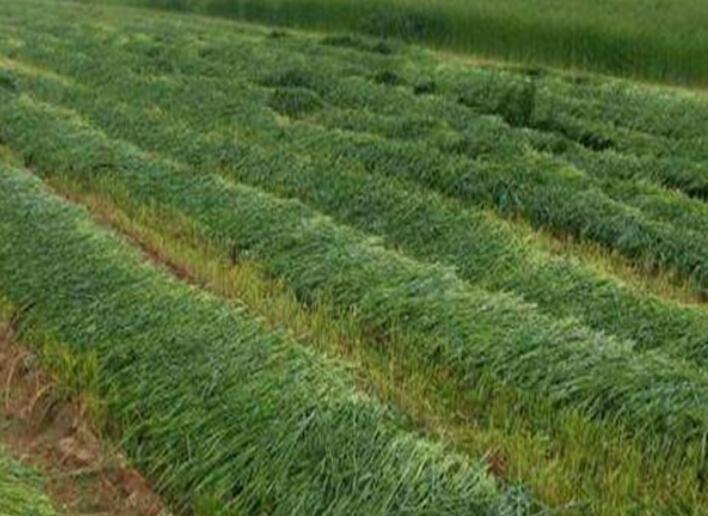 1645275602377851.jpg 1645275602377851.jpg