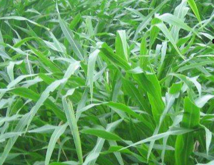 1645440590544155.jpg 1.jpg