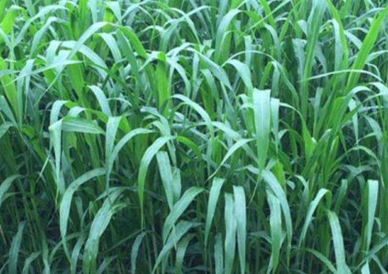 1645440598582393.jpg 2.jpg