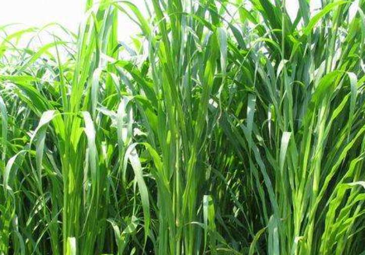 1645440608750191.jpg 3.jpg