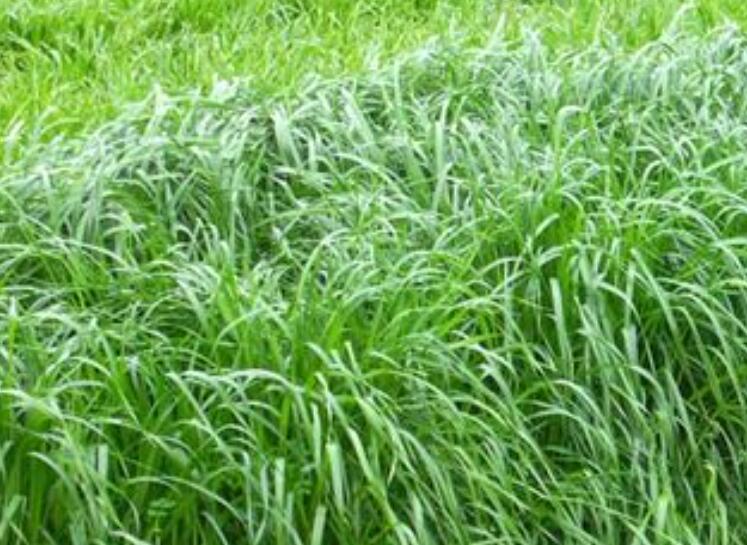 1645625617710223.jpg 3.jpg