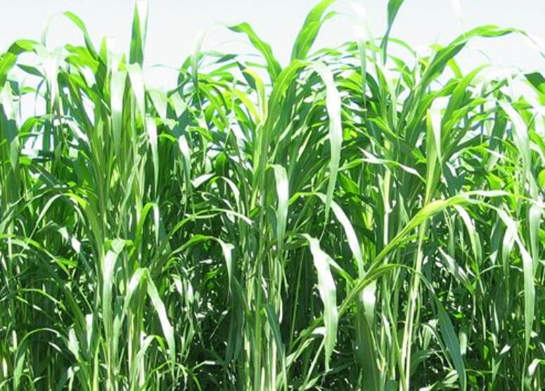 1645698565415446.jpg 1.jpg