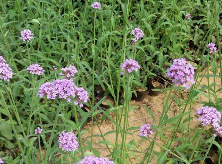 1645700487146704.jpg 3.jpg