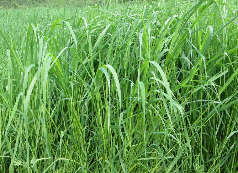 1645708104965220.jpg 1.jpg