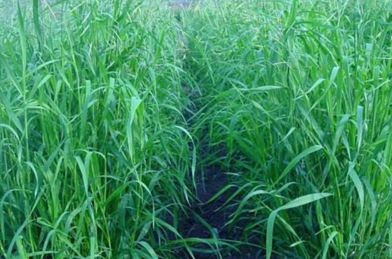 1645784941245624.jpg 1.jpg