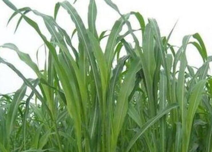 1645784951570244.jpg 2.jpg