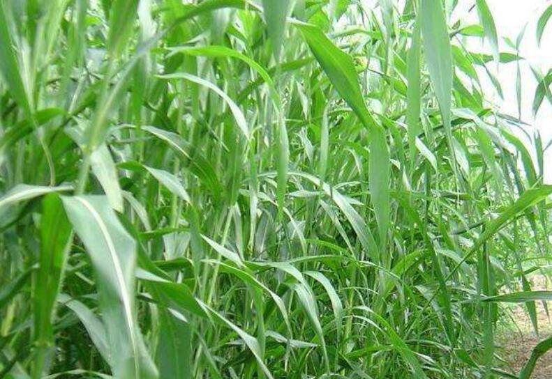 1645794280683345.jpg 2.jpg