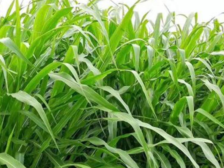 1645794289963984.jpg 3.jpg