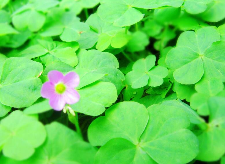 1645844435782823.jpg 2.jpg