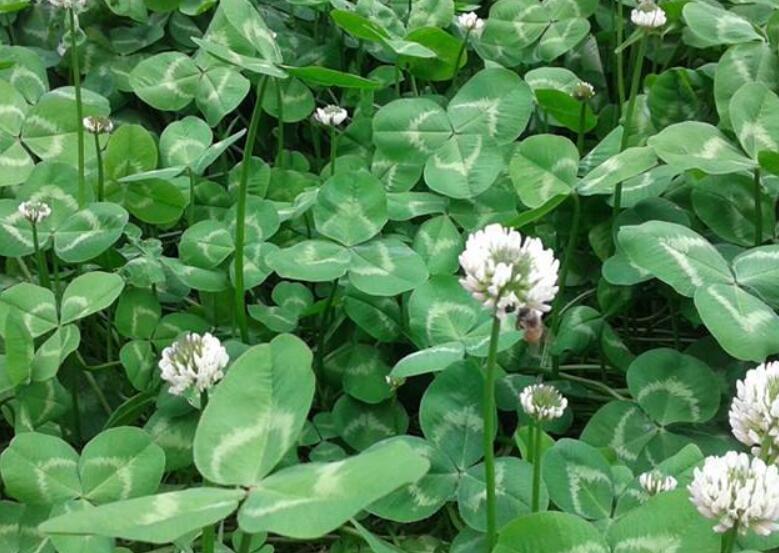 1646138614646285.jpg 3.jpg