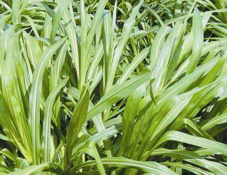 1646191245269122.jpg 2.jpg