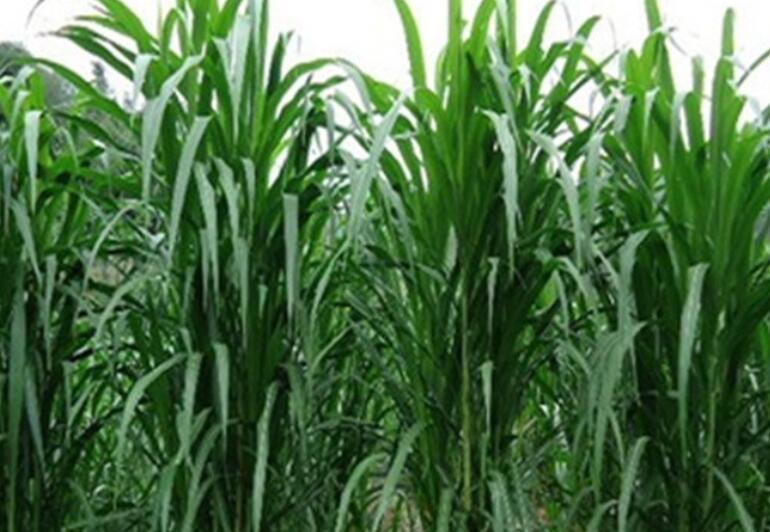 1646191568509447.jpg 1.jpg