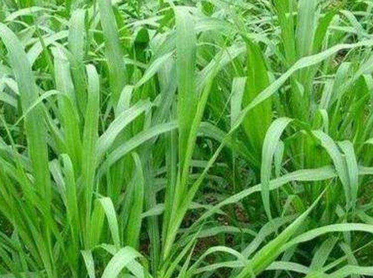 1646394050340021.jpg 1.jpg