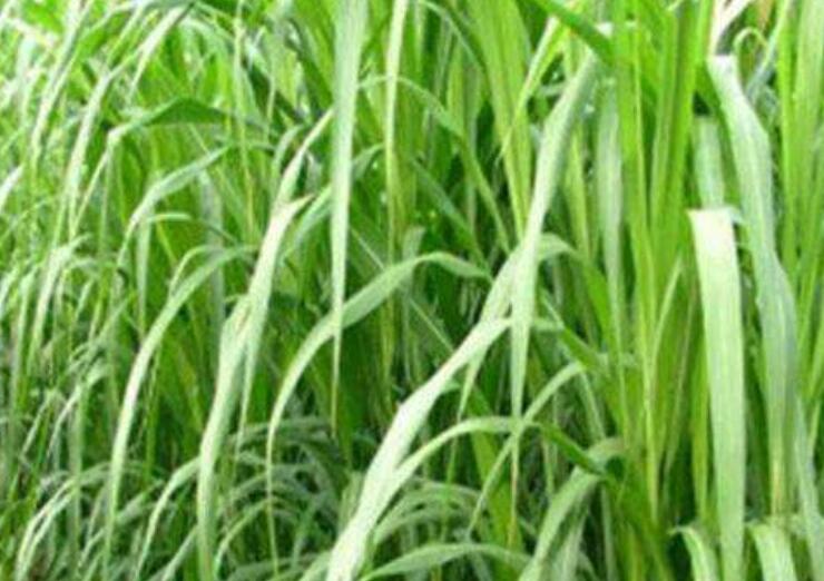 1646446958879904.jpg 1.jpg