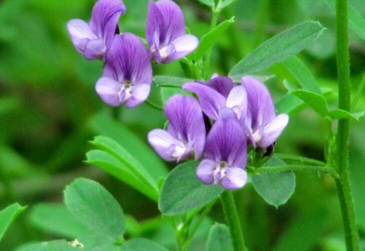 1646480667165056.jpg 1.jpg