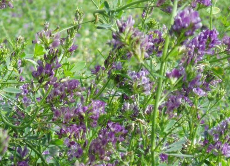 1646480681583346.jpg 2.jpg