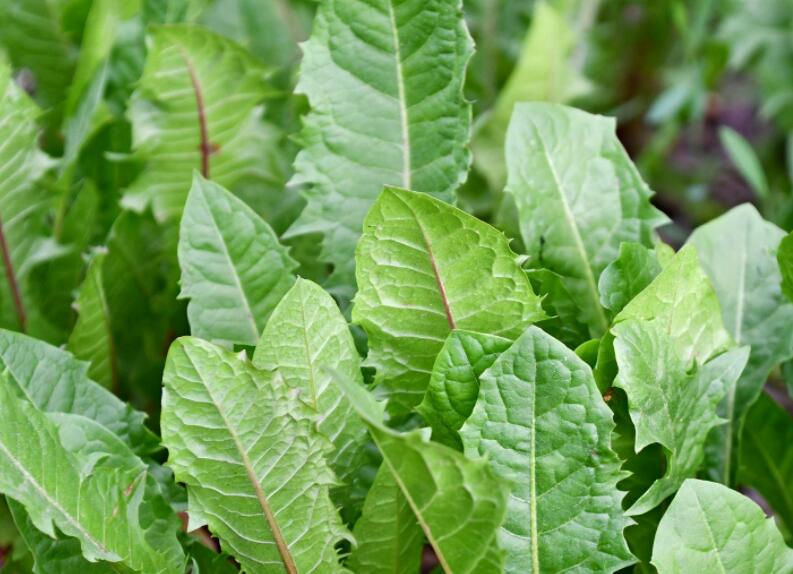 1646576315126147.jpg 1646576315126147.jpg