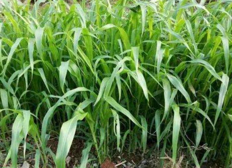 1646709742733719.jpg 2.jpg