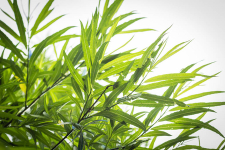 1646742556848351.jpg 1646742556848351.jpg