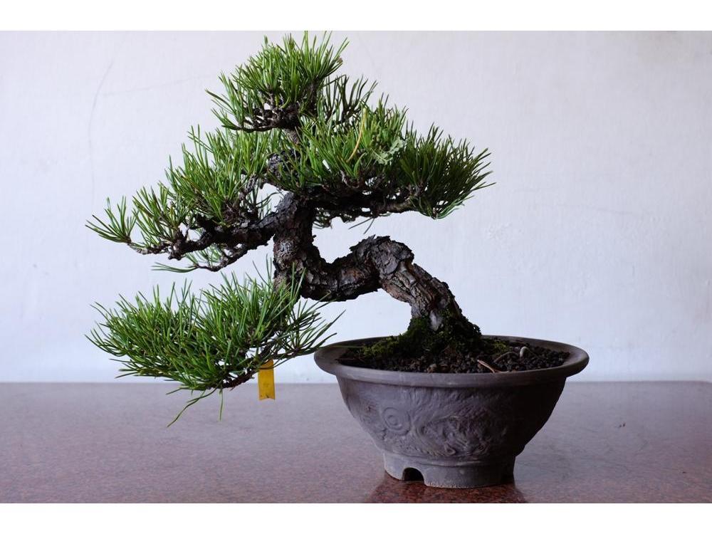 1646744989506118.jpg 1646744989506118.jpg