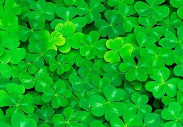 1646746039778479.jpg 1646746039778479.jpg