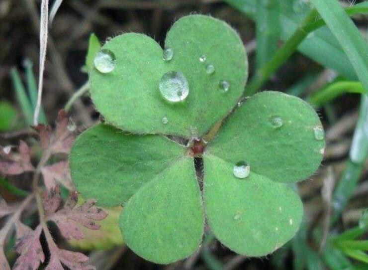 1646792277506492.jpg 2.jpg