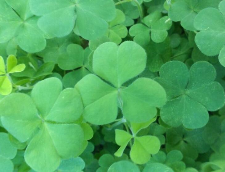 1646820109757537.jpg 44444444444444444.jpg