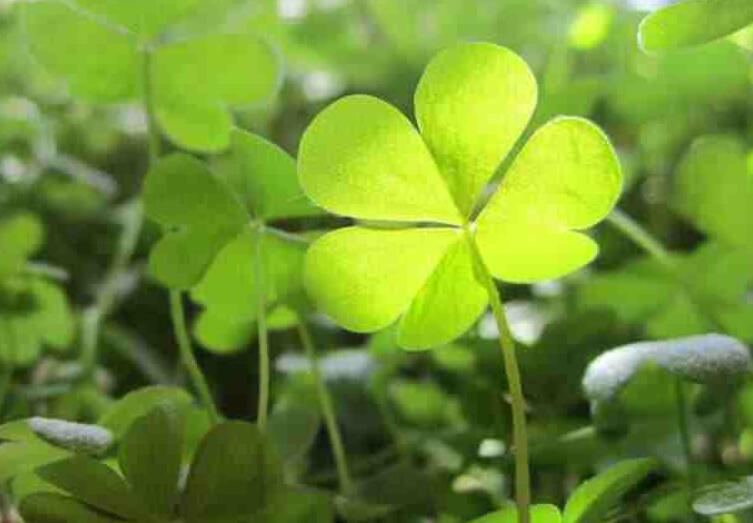 1646820138523179.jpg 3.jpg