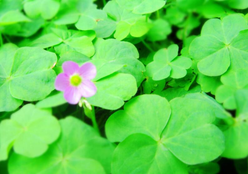 1646820152549860.jpg 1.jpg