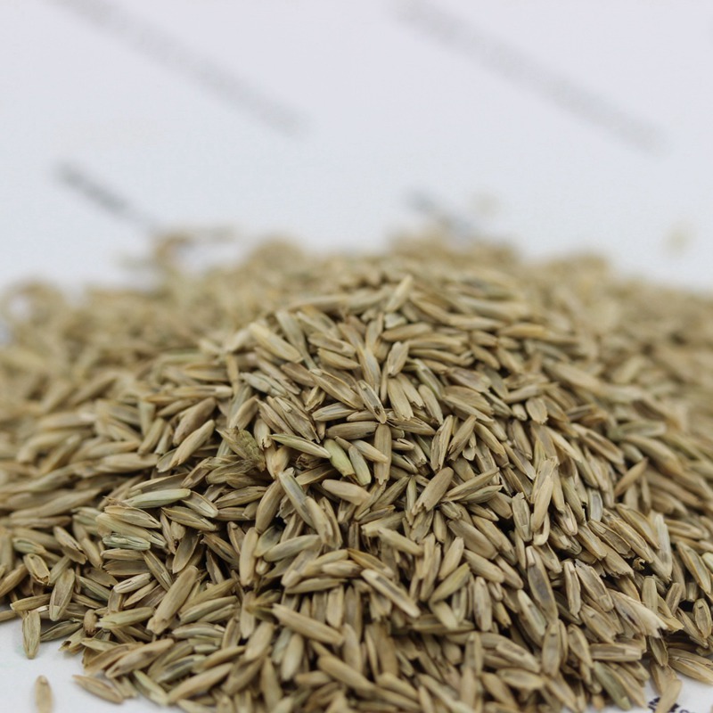 1647412640146096.jpg 1647412640146096.jpg