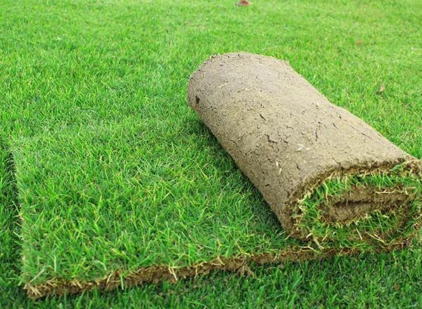 1647413705397422.jpg 1647413705397422.jpg