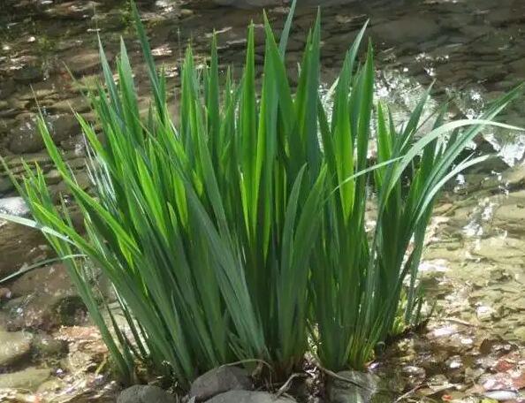 1647428856851374.jpg 1647428856851374.jpg