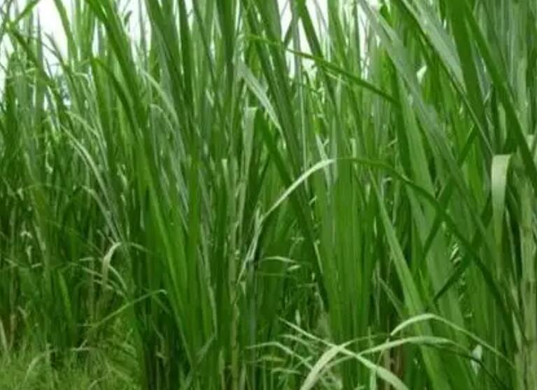 1647601395183935.jpg 3.jpg