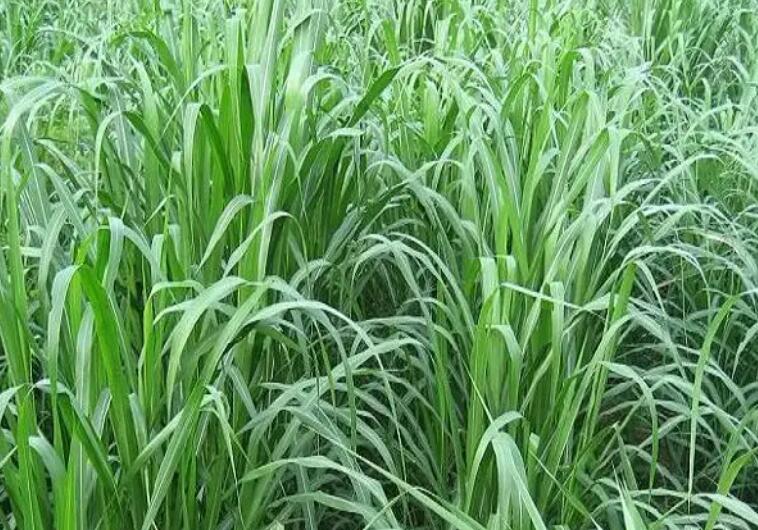 1647700420391433.jpg 2.jpg