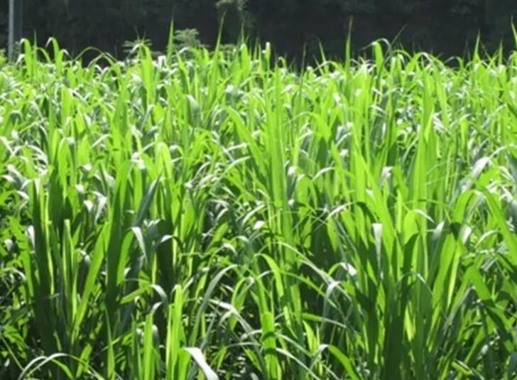 1647776486535149.jpg 2.jpg