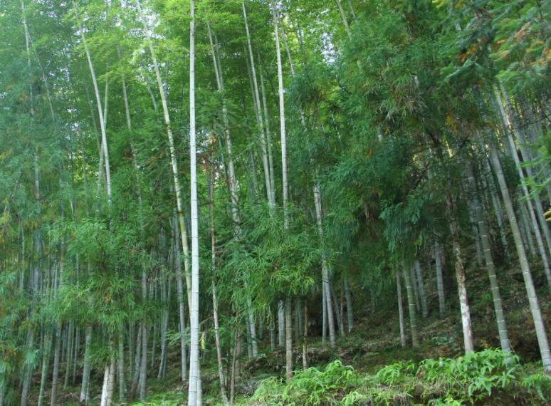 1647859499836514.jpg 1647859499836514.jpg