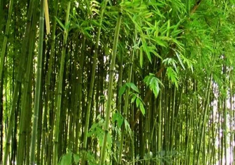 1647862230440673.jpg 1647862230440673.jpg