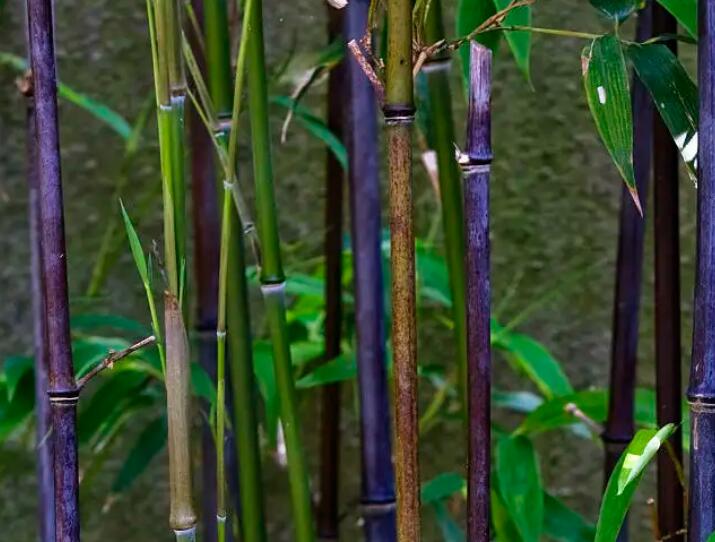 1647934465680240.jpg 1.jpg