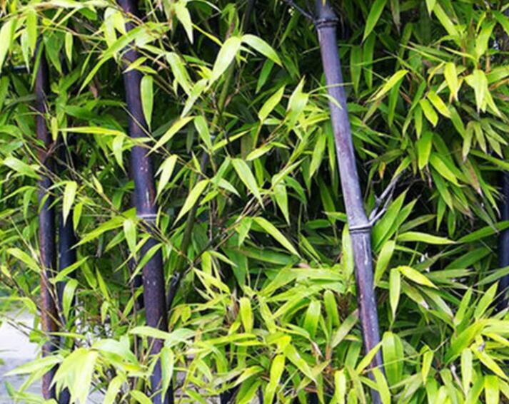 1647934474453805.jpg 2.jpg