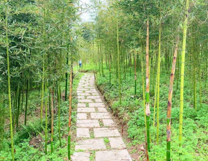 1647961892224515.jpg 1647961892224515.jpg