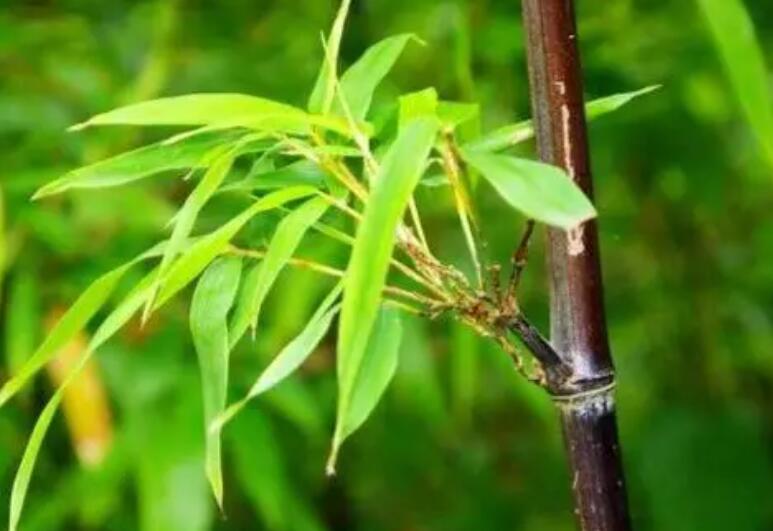 1648003588908206.jpg 2.jpg