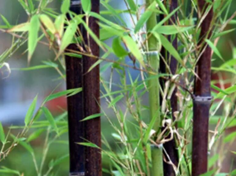 1648003600755109.jpg 3.jpg