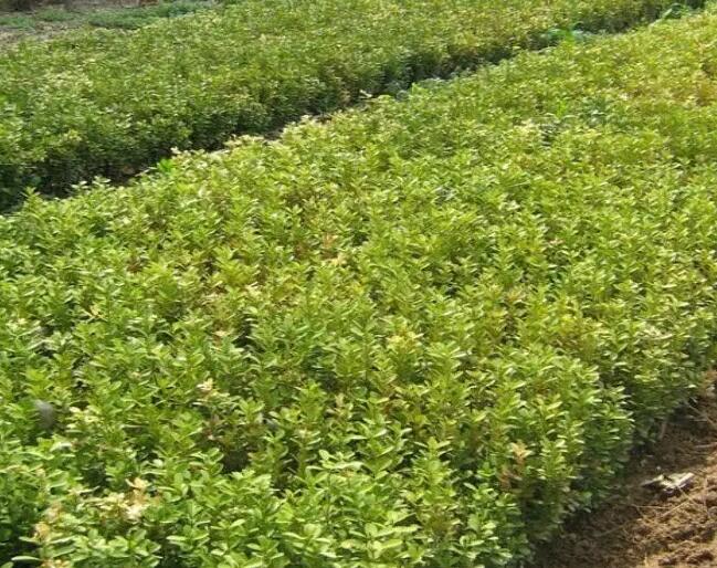 1648181123628293.jpg 1648181123628293.jpg